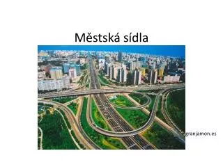 m stsk s dla