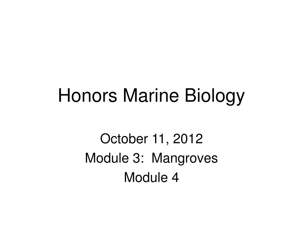 PPT - Honors Marine Biology PowerPoint Presentation, free download - ID ...