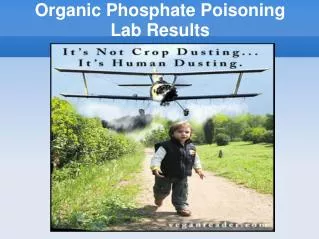 Organic Phosphate Poisoning Lab Results