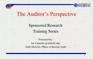 The Auditor’s Perspective