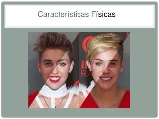 caracter sticas f sicas