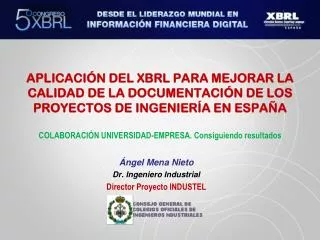 ngel mena nieto dr ingeniero industrial director proyecto industel