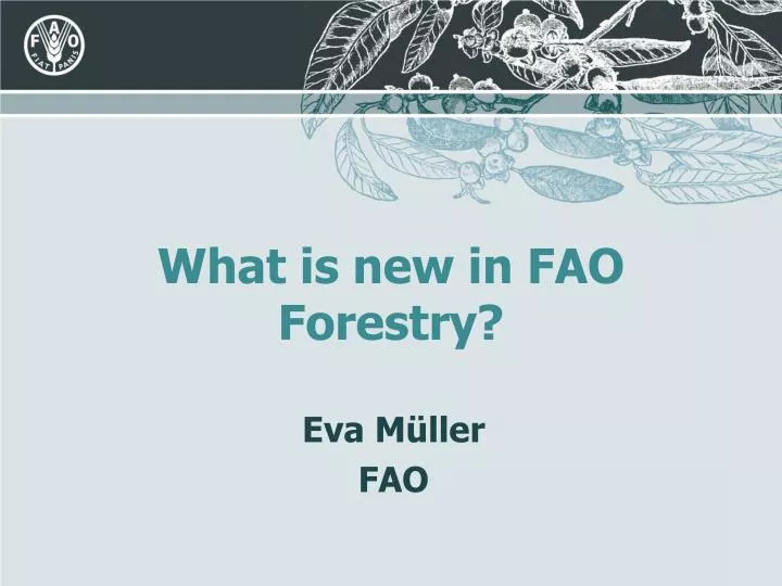 what is new in fao forestry