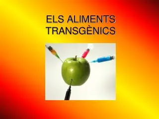 els aliments transg nics