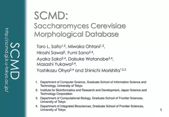 scmd saccharomyces cerevisiae morphological database