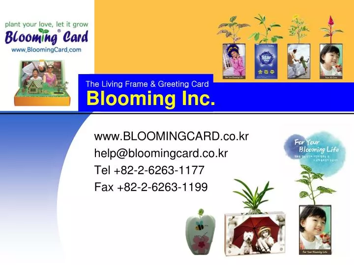 blooming inc