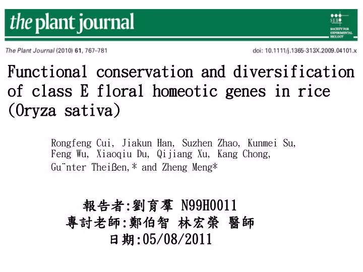 functional conservation and diversification of class e floral homeotic genes in rice oryza sativa