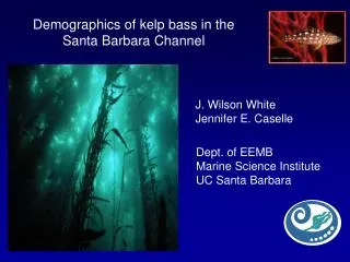 Demographics of kelp bass in the Santa Barbara Channel