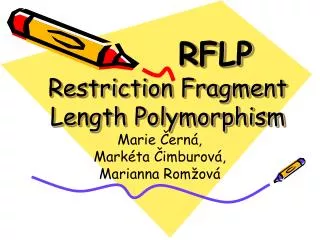 rflp restriction fragment length polymorphism