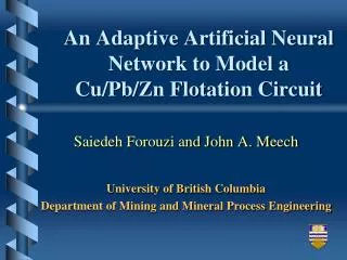 An Adaptive Artificial Neural Network to Model a Cu/Pb/Zn Flotation Circuit