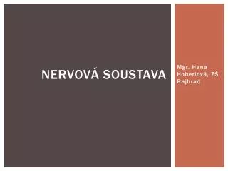 nervov soustava