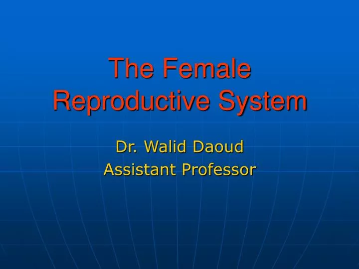 the female reproductive system