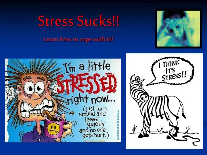 stress sucks learn how to cope with it