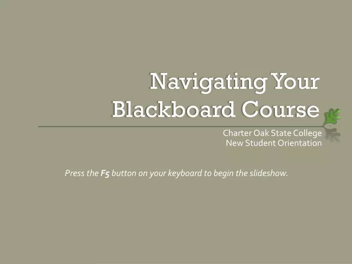 navigating your blackboard course