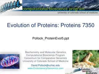 Evolution of Proteins: Proteins 7350 Pollock_ProteinEvol5