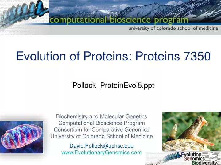 evolution of proteins proteins 7350 pollock proteinevol5 ppt