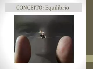 conceito equil brio