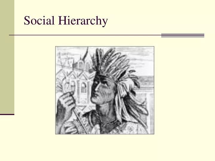 social hierarchy