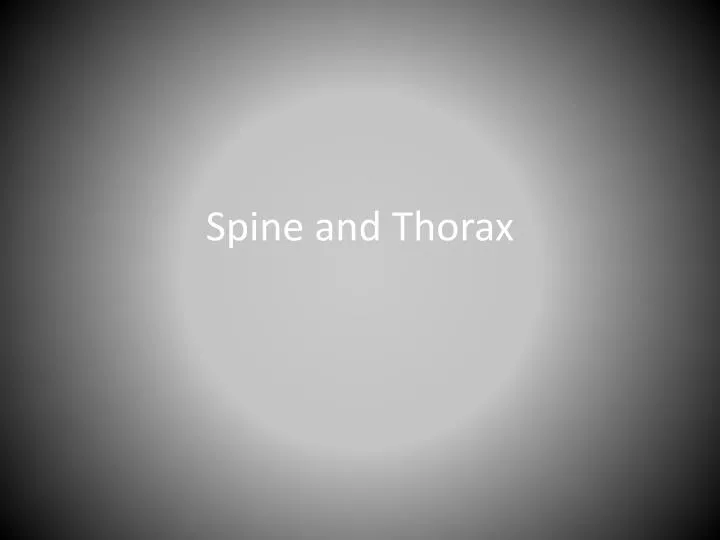 spine and thorax