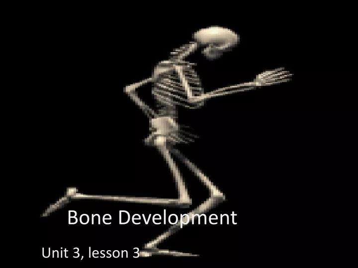 bone development