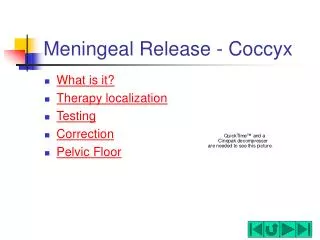 Meningeal Release - Coccyx