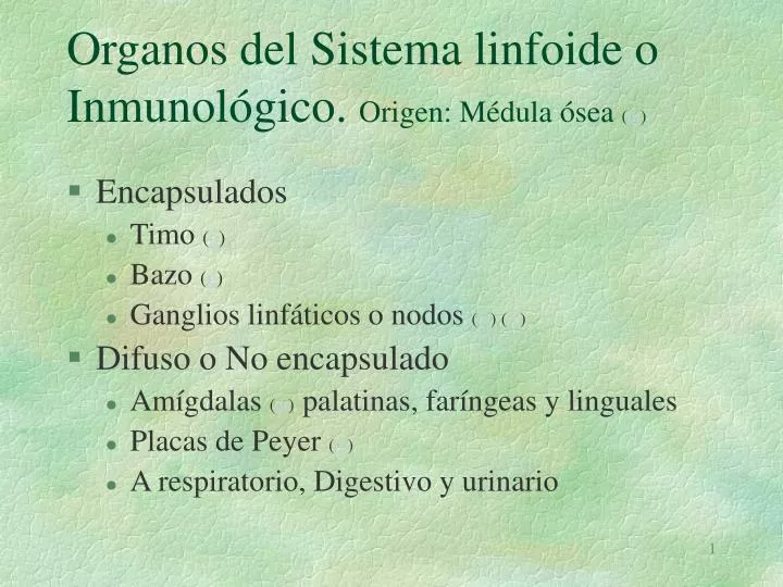 organos del sistema linfoide o inmunol gico origen m dula sea m