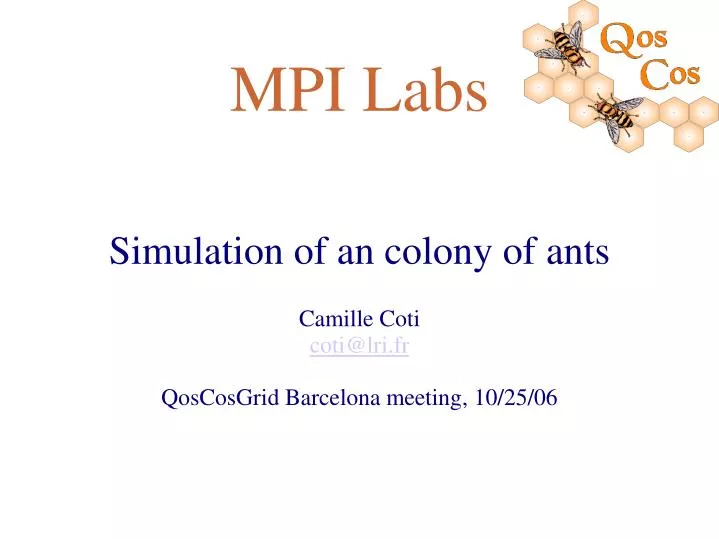 simulation of an colony of ants camille coti coti@lri fr qoscosgrid barcelona meeting 10 25 06