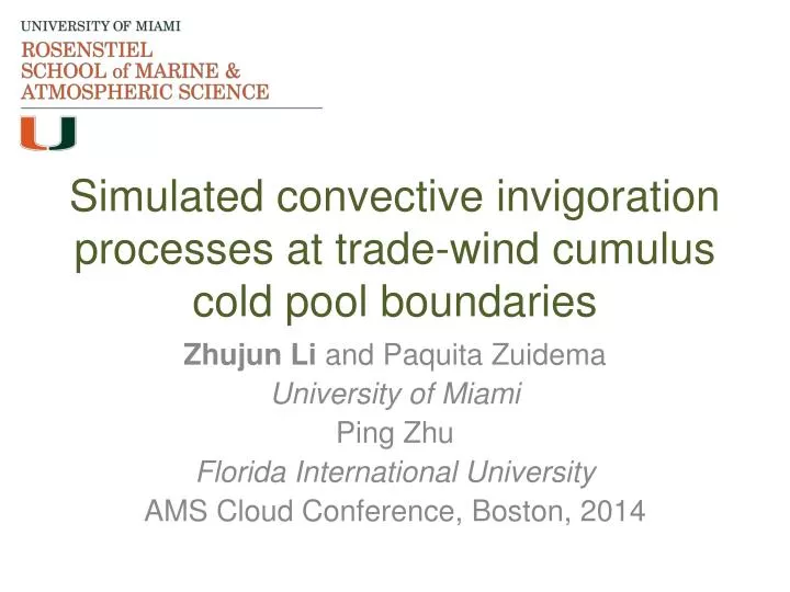 simulated convective invigoration processes at trade wind cumulus cold pool boundaries