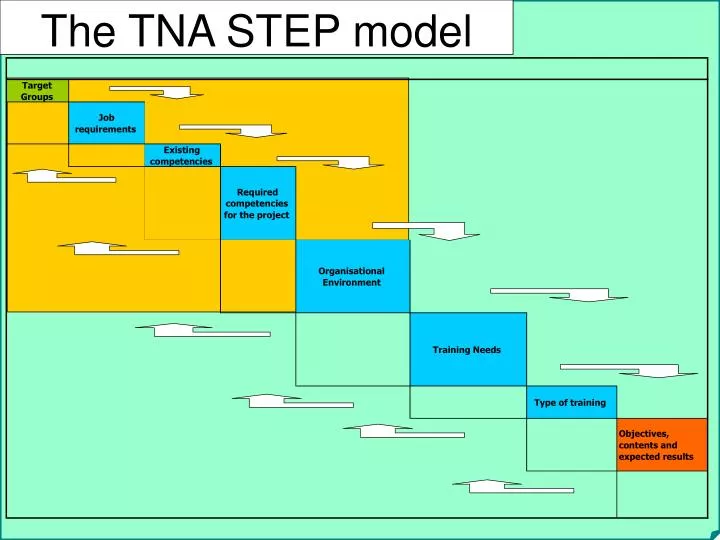 the tna step model