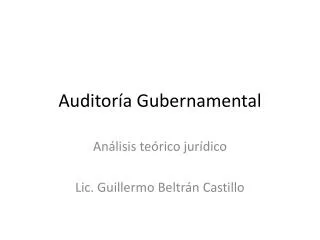 auditor a gubernamental