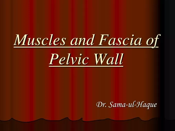 muscles and fascia of pelvic wall