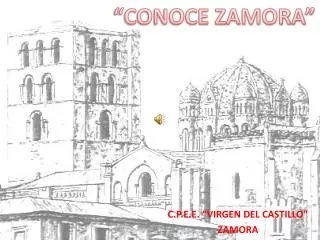c p e e virgen del castillo zamora