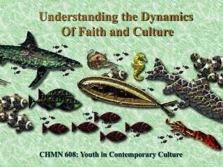 CHMN 608: Youth in Contemporary Culture