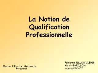 la notion de qualification professionnelle