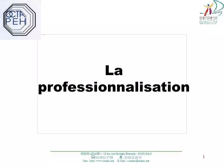 la professionnalisation