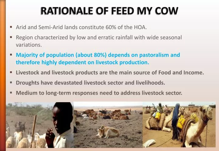 rationale of feed my cow