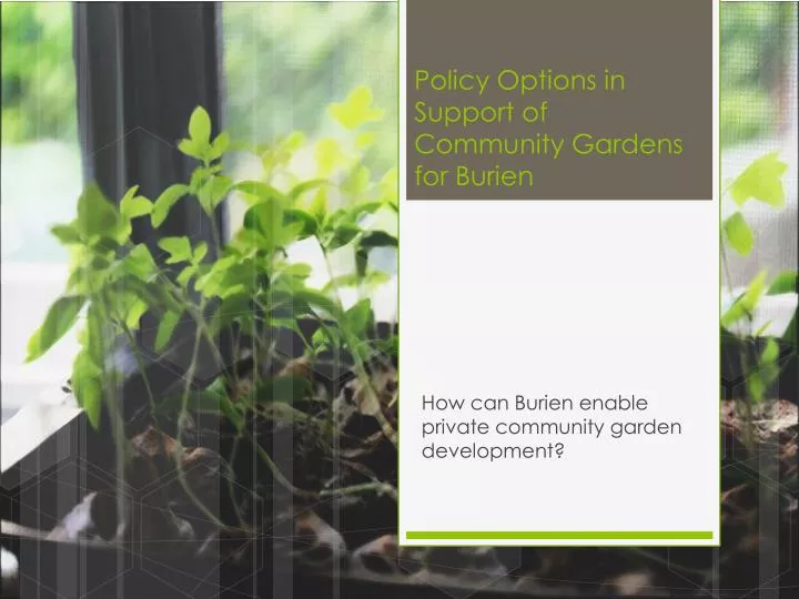 policy options in support of community gardens for burien