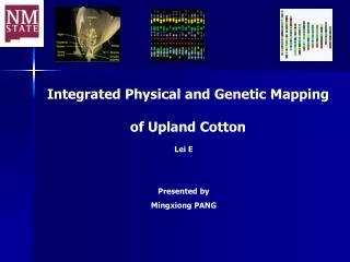 Integrated Physical and Genetic Mapping of Upland Cotton