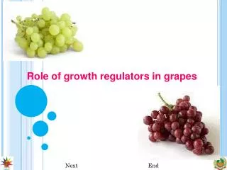Role of growth regulators in grapes