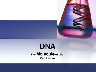 DNA