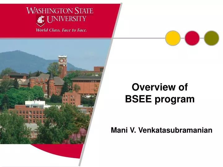 overview of bsee program