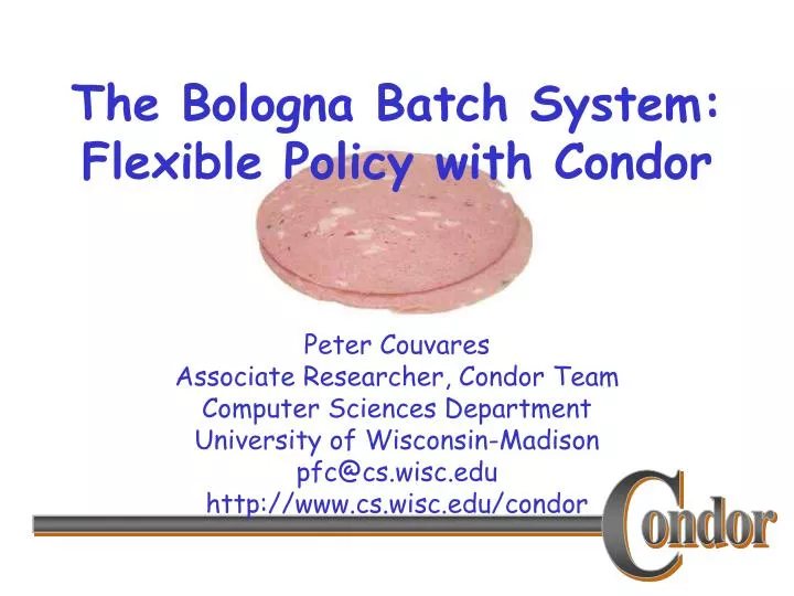 the bologna batch system flexible policy with condor