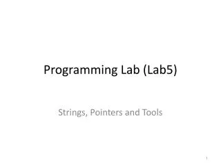 Programming Lab (Lab5)