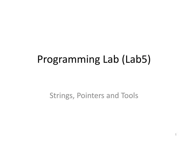 programming lab lab5