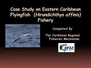 Case Study on Eastern Caribbean Flyingfish ( Hirundichthys affinis ) Fishery