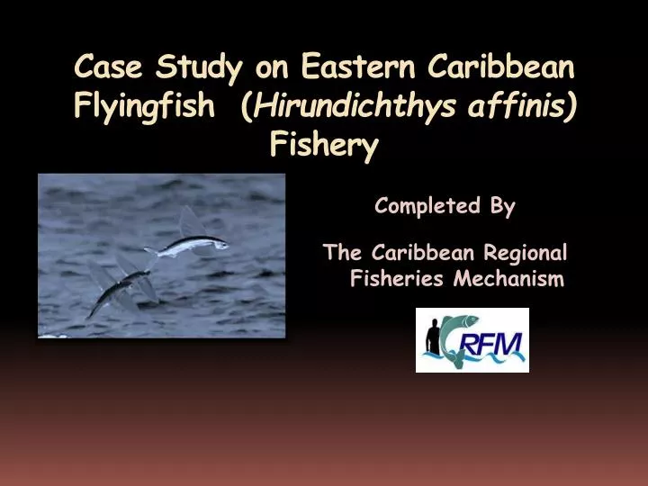 case study on eastern caribbean flyingfish hirundichthys affinis fishery