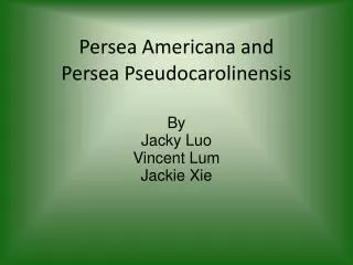 Persea Americana and Persea Pseudocarolinensis