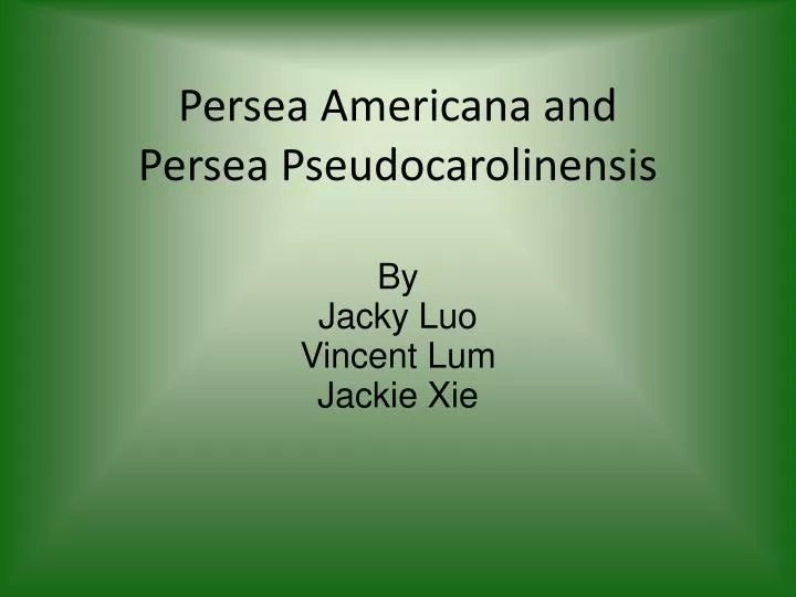 persea americana and persea pseudocarolinensis