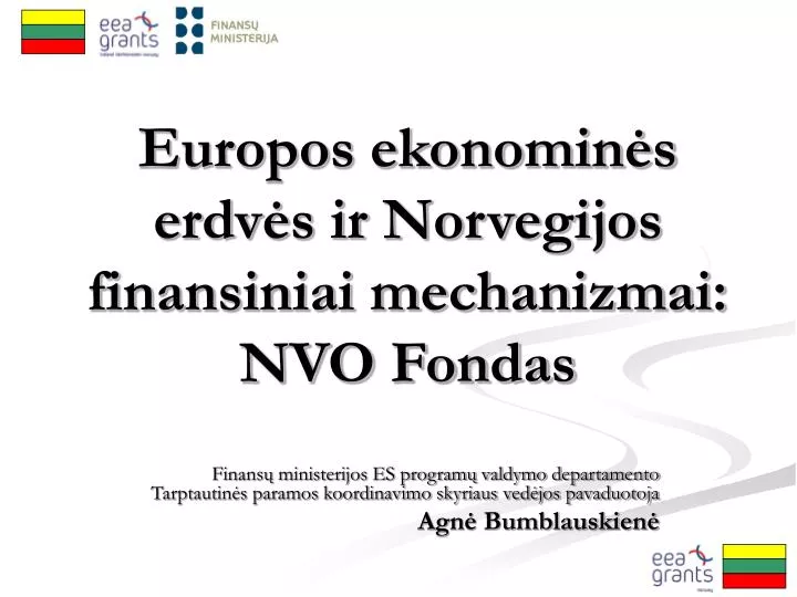 europos ekonomin s erdv s ir norvegijos finansiniai mechanizmai nvo fondas