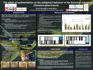 The effect of sedimentation on the settlement behavior of the American lobster